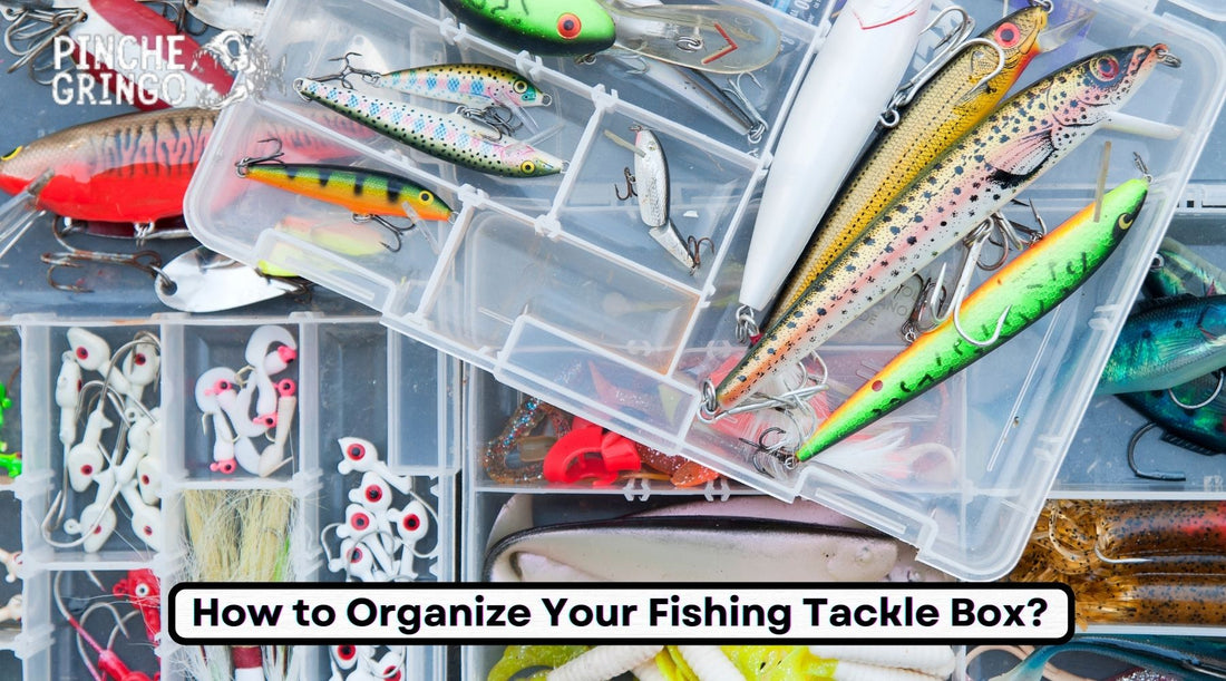 How to Organize Your Fishing Tackle Box? Tips for Efficiency